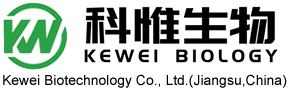 杭州保安