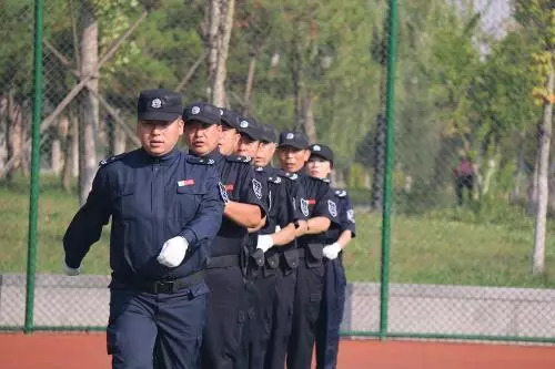 00914.jpg